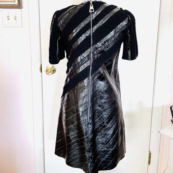 Louis Vuitton Spring 2015 Runway Eel Skin Dress VERY RARE - Picture 6 of 14